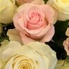 ladawna7777